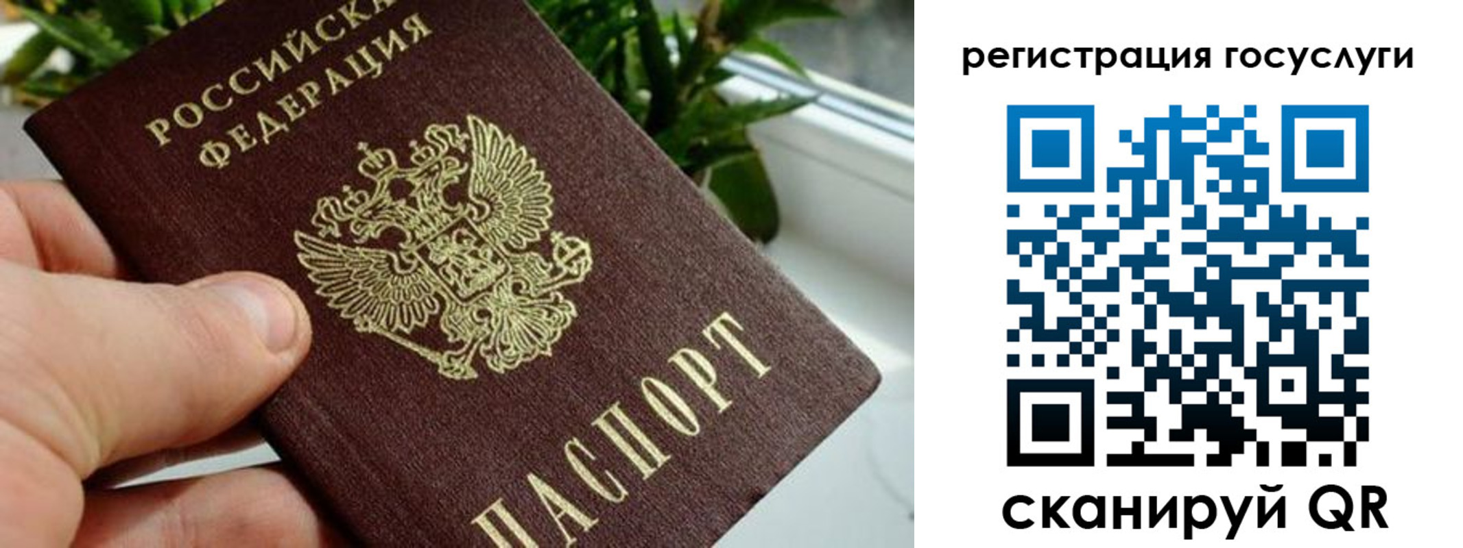 прописка для кредита в Павлово